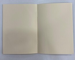 NIO-0007 VAN GOGH DEFTER - Thumbnail