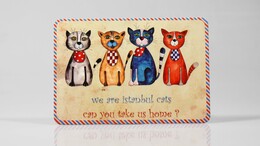 4nio - NIO-0039 İSTANBUL KARPOSTAL