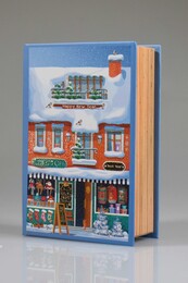 4nio - NIO-0043 MAVİ EV KÜÇÜK KUTU